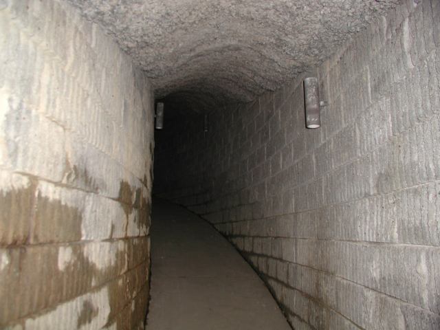 p1010037.jpg