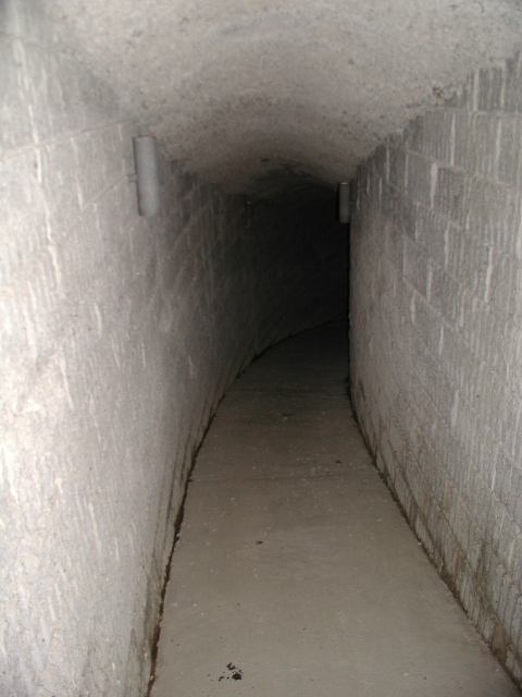 p1010045.jpg
